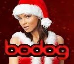 - bodog poker download -