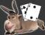 donkey-poker-65x65