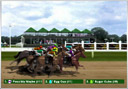 Virtual Race - horse racing + virtual greyhound at Party-Casino
